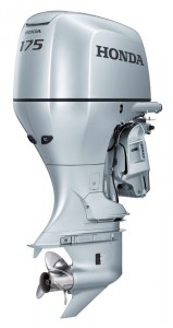 BF175