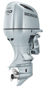 BF250